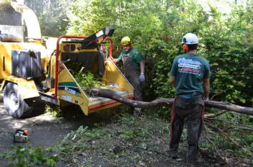 tree services Cerritos